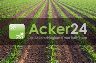 Acker24